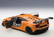 FORD GT LM SPEC II TEST CAR (CARBON FIBER LIVERY) 