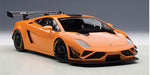 FORD GT LM SPEC II TEST CAR (CARBON FIBER LIVERY) 