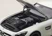 MERCEDES-AMG GT S WHITE