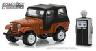 1:64   The Hobby Shop Series 5 GreenLight 97050 Passion Diecast