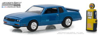 1:64   The Hobby Shop Series 5 GreenLight 97050 Passion Diecast