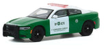 Carabineros De Chile (Chilean Police) - 2018 Dodge Charger Pursuit - Greenlight 1/64 Hobby Exclusive - 30162  Passion Diecast 