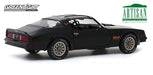 1977 Pontiac Firebird "Fire Am" in Black with Hood Bird - Very Special Equipment (VSE) - Greenlight 1/18 - 19080  -  Diecast 