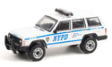 Hot Pursuit Series 38 -  Assortment  1-64 greenlight - 42960 -  Passion Diecast