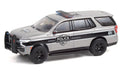 Hot Pursuit Series 38 -  Assortment  1-64 greenlight - 42960 -  Passion Diecast