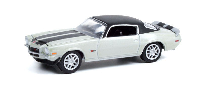 1970 Chevrolet Camaro - (Gary Mill) - Detroit Speed, Inc. Series 2 - Greenlight 1/64 - 39070 C