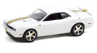 2009 Dodge Challenger R/T - Hurst Performance Edition  Hobby Exclusive - 1/64 Greenlight - GL-30306
