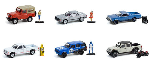 The Hobby Shop Series 12 assortment  1/64 Greenlight -  97120 - Passion Diecast 