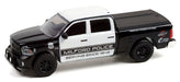 Hot Pursuit Series 40 - Assortment - 1/64 Greenlight - 42980