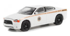 Absaroka County Sheriff's Department - 2011 Dodge Charger Pursuit - Hobby Exclusive - 1/64 Greenlight - 30334  Passion Diecast