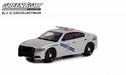 Nevada Highway Patrol State Trooper - 2019 Dodge Charger - Hot Pursuit Series 41 - 1/64 Greenlight - 42990 D