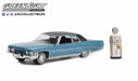 The Hobby Shop Series 13 Assortment - 1/64 Greenlight - 97130 - Passion Diecast