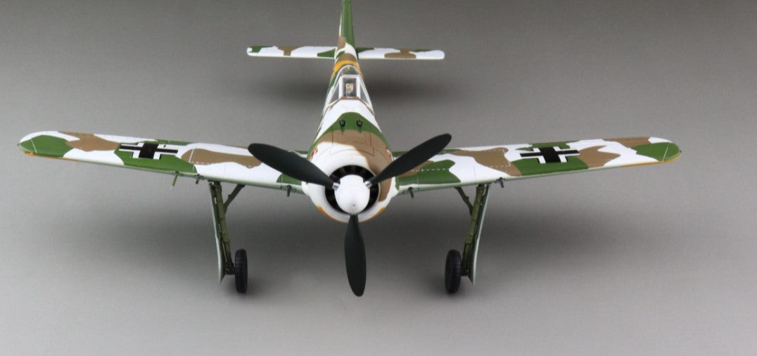 Focke-Wulf FW 190A-4 / Luftwaffe Oblt. W. Nowotny, CO 1./JG 54, Staraya Russia, March 1943 / Hobby Master 1:48 HA7427