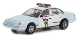 Hot Pursuit Series 42 - Assortment - 1/64 Greenlight - 43000 Passion Diecast