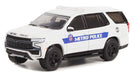 Hot Pursuit Series 42 - Assortment - 1/64 Greenlight - 43000 Passion Diecast