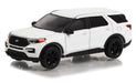 Showroom Floor Series 1 - Assortment - 1/64 Greenlight - 68010 Passion Diecast