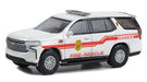 Fire & Rescue Series 4 - Assortiment - 1/64 Greenlight - 67050 - Passion Diecast