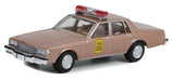 Hot Pursuit Series 43 - Assortment - 1/64 Greenlight - 43010 Passion Diecast