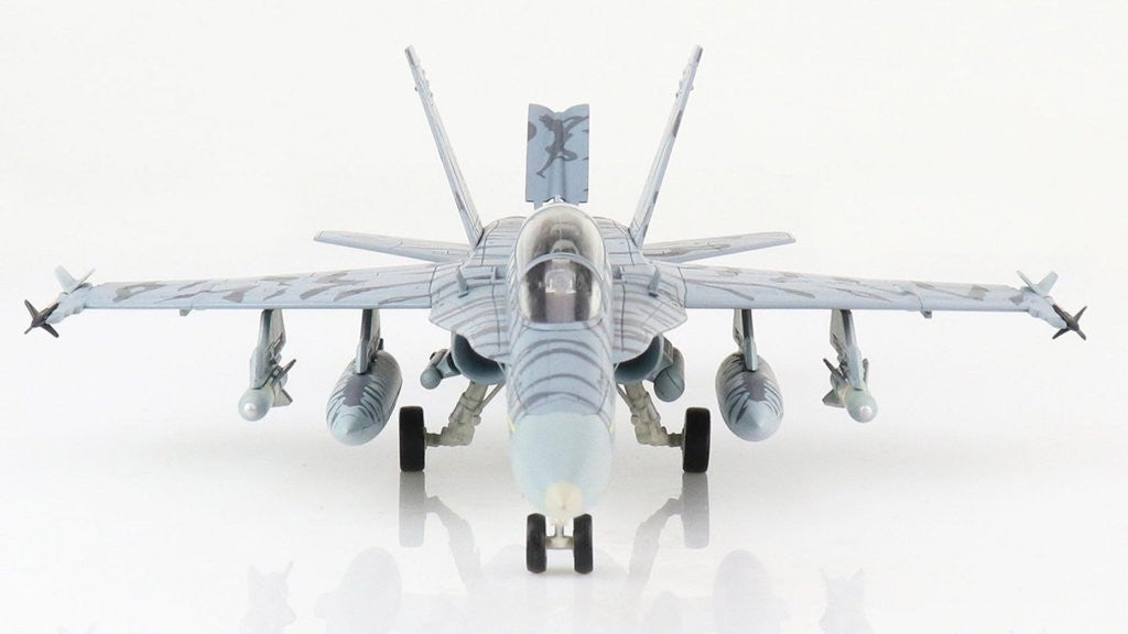 McDonnell Douglas F/A-18D Hornet - USMC VMFA(AW)-224 Bengals, WK00, MCAS Iwakuni, Japan, 2009 / Hobby Master 1:72 HA3569