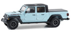 Showroom Floor Series 4 - Assortment - 1/64 Greenlight - 68040 Passion Diecast