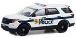 Hot Pursuit Special Edition - FBI Police - Assortment - 1/64 Greenlight - 43025 Passion Diecast