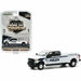 2019 Ford F-350 Fort Lauderdale, Florida Police Department Dive Team - Dually Drivers Series 4 - 1-64  Greenlight  - 46040 F