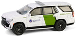U.S. Customs and Border Protection Border Patrol - Hot Pursuit - Assortment - 1/64 Greenlight - 43035 Passion Diecast