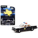 Texas Department of Public Safety - 1981 Dodge Diplomat - Hobby Exclusive - 1/64 Greenlight - 30303  Passion Diecast