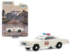 1975 Plymouth Fury - Atlanta, Georgia Police -   greenlight 1/64   Hobby Exclusif - 30174 -  Passion Diecast 