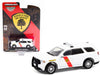 2018 Dodge Durango - New Jersey State Forest Fire Service - Hobby Exclusive - 1/64 Greenlight - 30267