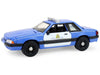 Hot Pursuit - Canada Special Edition - Assortiment - 1/64 Greenlight - 43065 Passion Diecast