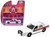 Fire Rescue Series 5 - Assortment - 1/64 Greenlight - 67070 Passion Diecast