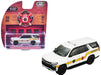 Fire Rescue Series 5 - Assortment - 1/64 Greenlight - 67070 Passion Diecast